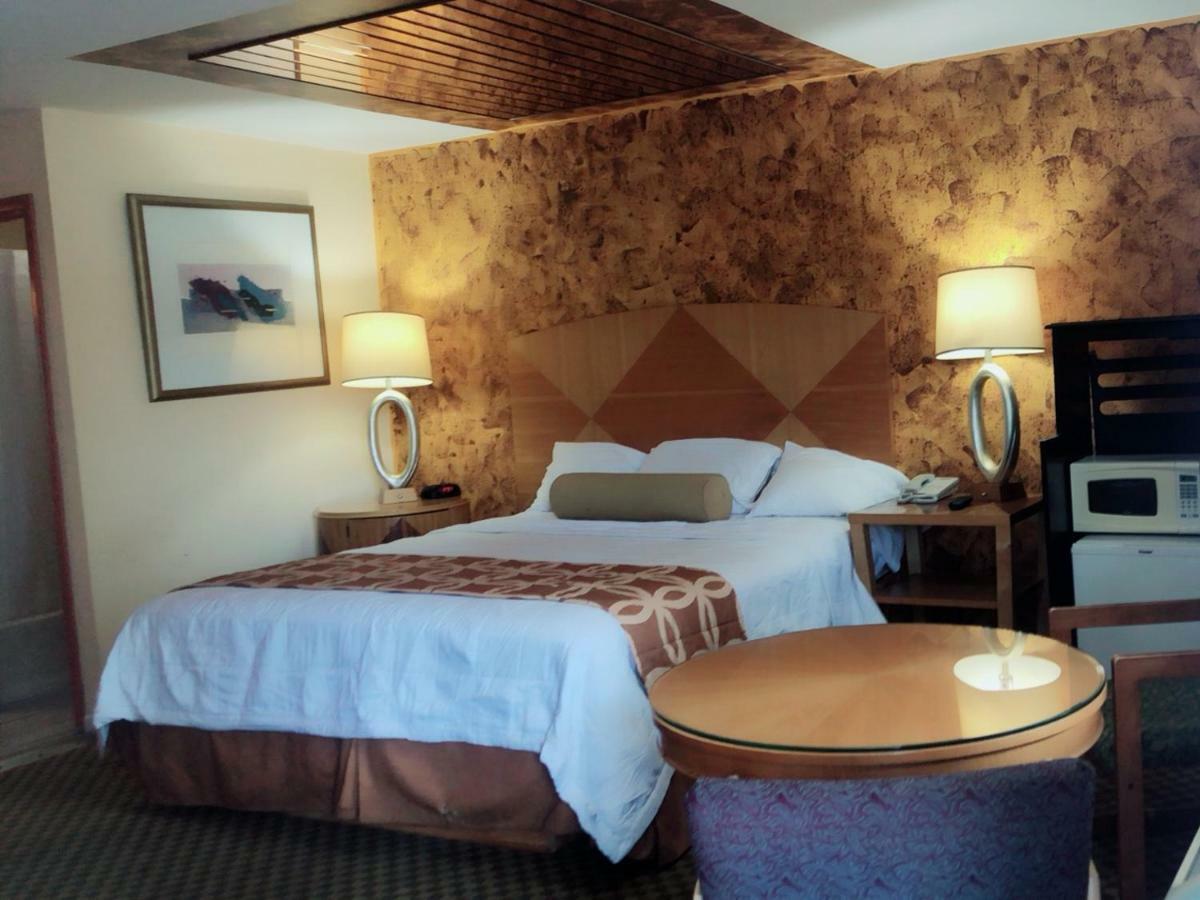 Sunflower Inn Galloway Eksteriør billede